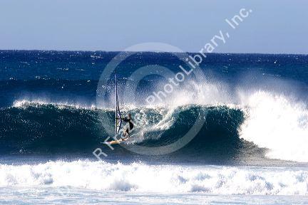 Windsurfing in the pacific ocean off the island of Maui, Hawaii.