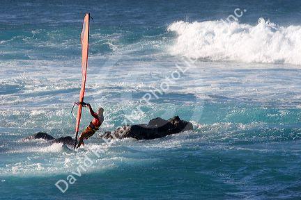 Windsurfing in the pacific ocean off the island of Maui, Hawaii.