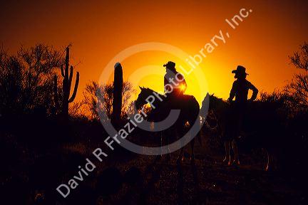 Silhouetted cowboys on a trail ride at the Saguaro Monument in Arizona.
