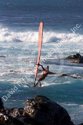 Windsurfing in the pacific ocean off the island of Maui, Hawaii.