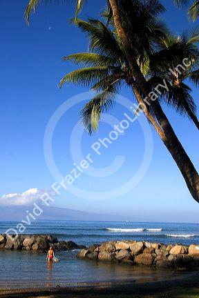 Woman entering the pacific ocean with surfboard on the island of Maui, Hawaii.