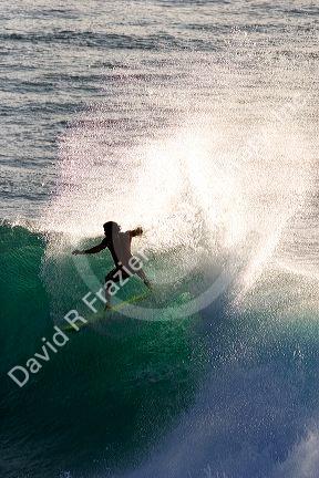 Surfing on waves in the pacific ocean off the island of Maui, Hawaii.