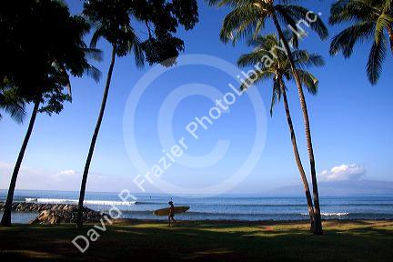 Girl walking with surfboard on the island of Maui, Hawaii.