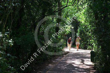 Tourists walk on a path through the jungle at Iguazu Falls, Argentina.