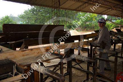 Lumber mill in Argentina.