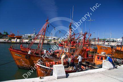 Fishing boats at Puerto Faro, Mar del Plata, Argentina.