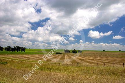 Farmland and clouds near Tamil, Argentina.