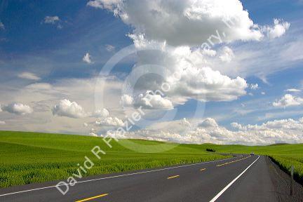 A highway in eastern washington cuts through a wheat farm with rolling hills and clouds.