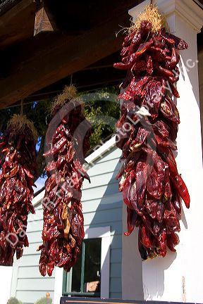 Dried chili peppers hang from a store front at Old Town, San Diego, California.