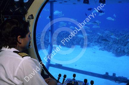 Underwater views from the submarine Atlantis Tours in Lahaina, Maui, Hawaii.