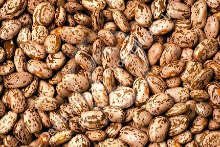 Pinto beans.
