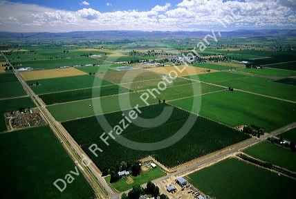 Green patchwork of spring crops in Canyon County, Idaho.