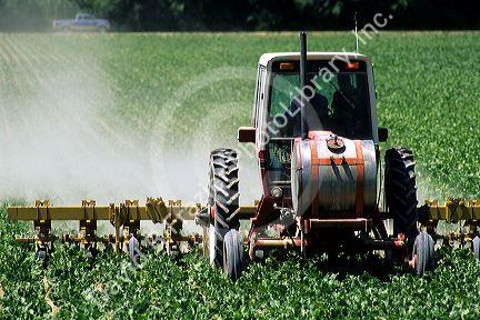 A tractor tilling and fertilizing a sugar beet crop in Canyon County, Idaho.