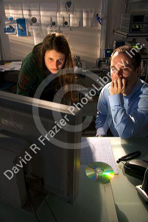 Scientist and researcher looking at computer screen data in a lab.