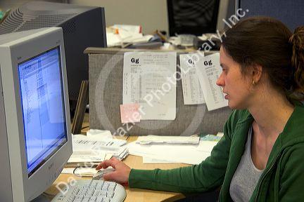 Office worker using a computer. MR