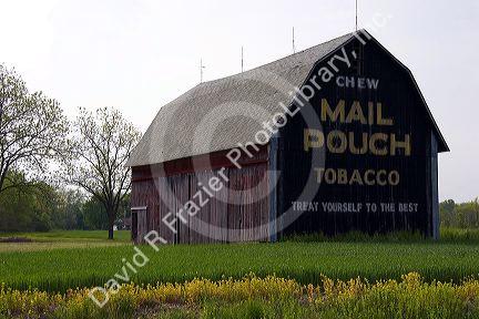 Mail Pouch Tobacco barn along Ohio Route 15 at Bryon, Ohio.