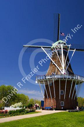 Windmill Island park with tulips in bloom at Holland, Michigan.
