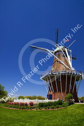 Windmill Island park with tulips in bloom at Holland, Michigan.