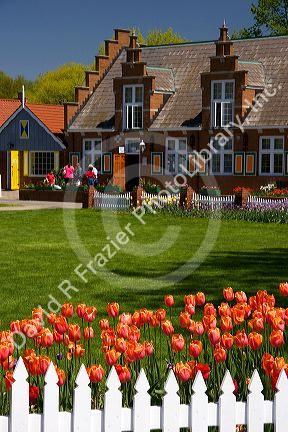 Windmill Island park with tulips in bloom at Holland, Michigan.
