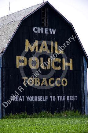 Mail Pouch Tobacco barn along Ohio Route 15 at Bryon, Ohio.