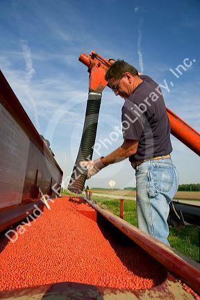 Farmer loading a planter with soy bean seeds near Defiance, Ohio.