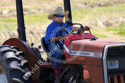A young boy driving a tractor harvesting Timothy Hay near Conway, Arkansas.