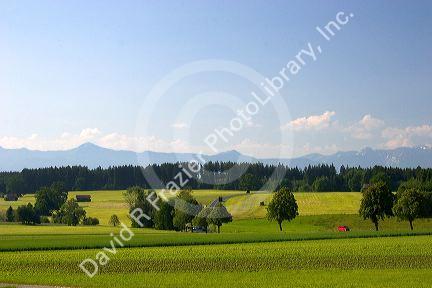 Austrian Alps and green fields near Weilheim in Sounthern Germany.