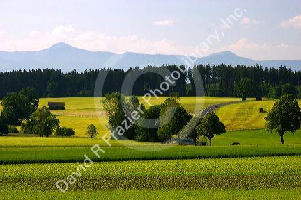 Austrian Alps and green fields near Weilheim in Sounthern Germany.