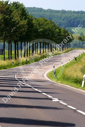 Trees cast shadows across Highway route 423 near Blieskastel in northwest Germany.