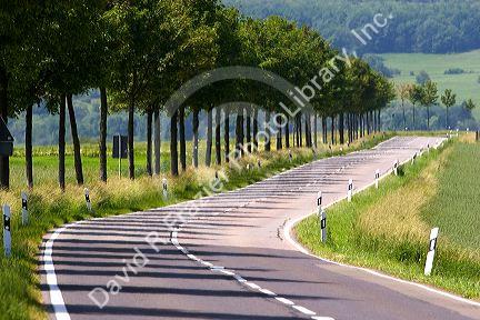 Trees cast shadows across Highway route 423 near Blieskastel in northwest Germany.