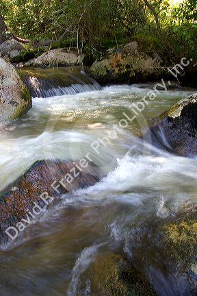 Small tributary stream along the South Fork of the Salmon River near Yellow Pine, Idaho.