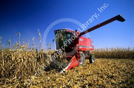 Corn Harvest in Illinois.