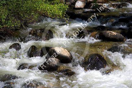 Small tributary stream along the South Fork of the Salmon River near Yellow Pine, Idaho.