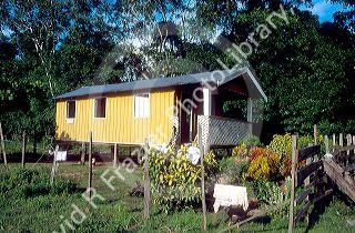 House on stilts along the Amazon near Manaus Brazil.