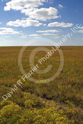 Kansas prairie along highway 77 south of Cottonwood.