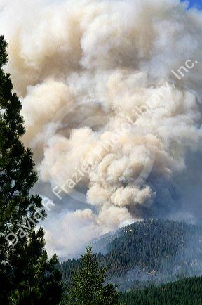 A plume of smoke from the King Gulch forest fire near Idaho City, Idaho.