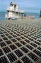 Bottles of beer ready for shipment on the docks of the Amazon River in Manaus Brazil.