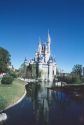 Walt Disney World in Orlando, Florida.