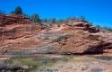 Weathered sandstone cliff near Kanab, Utah.