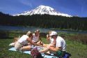 Family having a picnic at Mount Rainier in Washington.