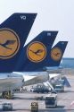 Luftansa airlines tails at Frankfurt, Germany.