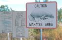 Manatee warning signs at Sarasota, Florida boat launching site.
