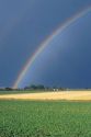 Colorful rainbow over southwest Idaho farm fields.