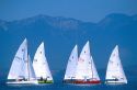Sailboats on Flathead Lake, Montana.