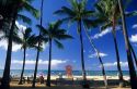 Palm trees at Waikiki Beach in Honolulu, Hawaii.