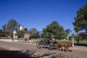 A horse drawn carriage with a view of the Court House in colonial Williamsburg, Virginia along Duke of Gloucester street.