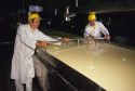 Workers using wires to cut the curds into pieces at a cheese factory.