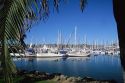 Sailboats docked in the Shelter Island marina in San Diego Harbor, California.