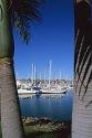 Sailboats docked in the Shelter Island marina in San Diego Harbor, California.