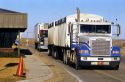 Long haul trucks line up a weigh station.